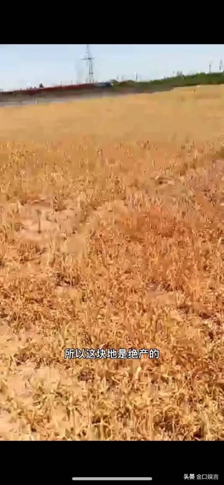 毒红薯事件反思 40种药剂催生背后的生态与农业咨询挑战