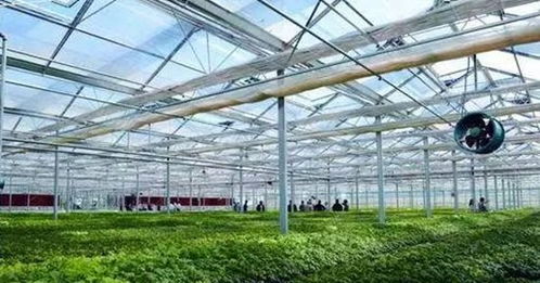 十一游黑龙江 77个景点优惠全攻略，你最想探访哪个？